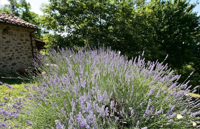 Belvilla by OYO Baita del Por Azzolo - Foto 23