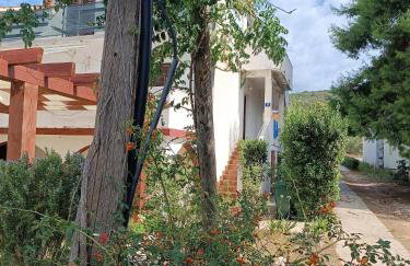 Family friendly seaside apartments Brgulje, Molat - 24673 - Foto 2