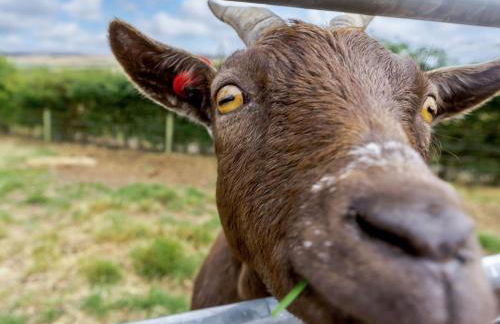 3 Bed in St. Andrews oc-88545 - Foto 22