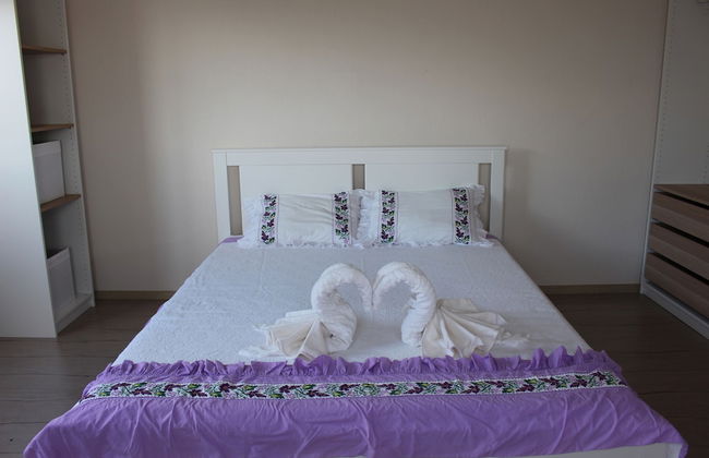 Heredot's House - Foto 19