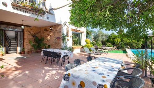 Casa chico - Photo 4