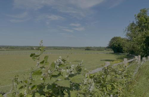 Home from Home in Barcombe East Sussex - Photo 11