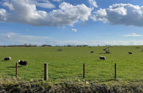 Hall Farm Cottage - Foto 33