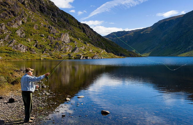 Angelas Farmhouse - Foto 17