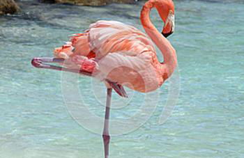 Casa Il Nuraghe - Foto 14