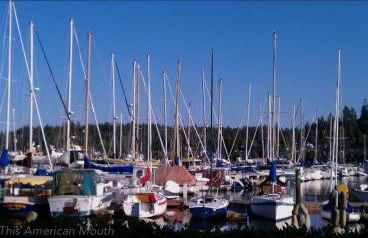 Seattle Urban Village- Unit B- Lago Vista- Lake Union- Sleeps 6 - Foto 21