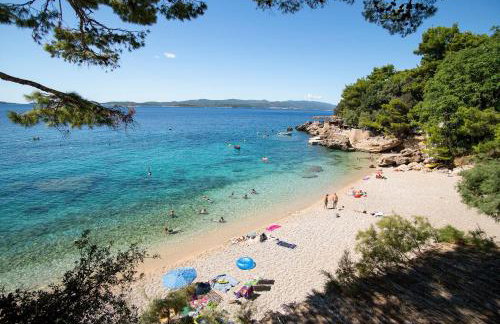 Beachfront Apartments Vala with a swimming pool - Photo 35