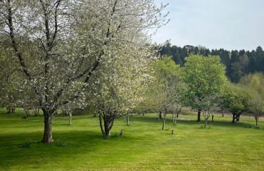 The Acorn Hideaway - Photo 7