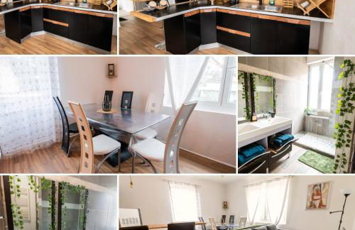 appart de charme a 2 pas du centre de Montbrison - Foto 4