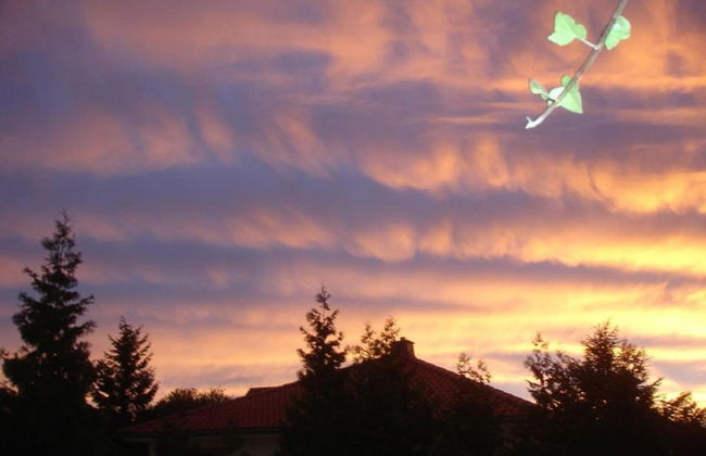 Family-friendly Timmenrode Stay - Foto 30