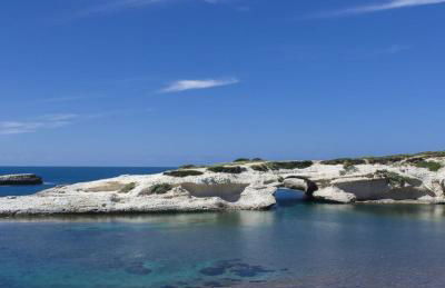 Ale house experience - Foto 30