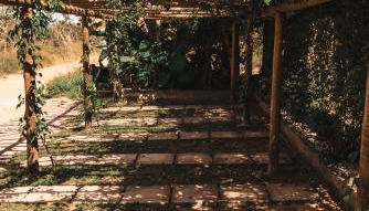 Espaço Canela-de-Ema - Foto 4