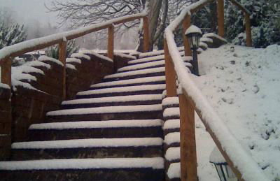 Agriturismo le Spighe - Fattoria Bertaccini - Foto 107