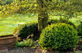 Domaine des Chanoines blancs - Foto 52