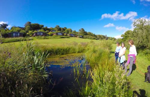 Timber Hill Self Catering Cedar Lodges - Foto 41