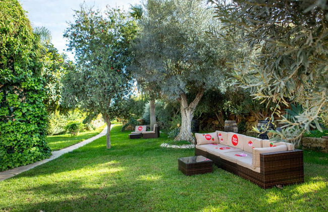 Visite de la distillerie Puerto de Indias - Photo 3