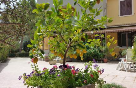 villa xenia - Foto 40