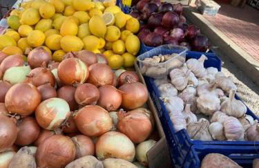 Sol de mar, La Mata (Hiszpania) - Foto 74