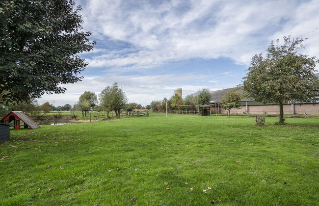 Lamperse hei - Photo 39