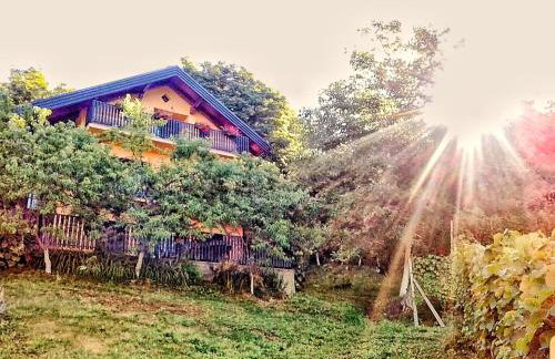 Apartman 2 - Foto 21