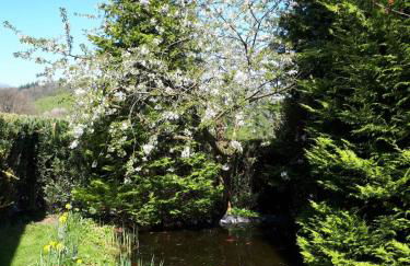 Ferienwohnung am Sorpesee - Foto 23