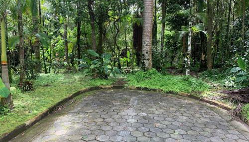 Casa da Praia Rodeada pela Mata Atlantica - Foto 2