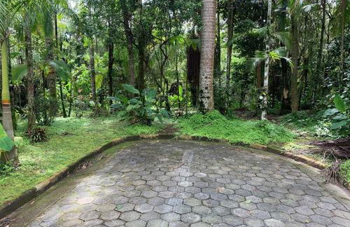 Casa da Praia Rodeada pela Mata Atlantica - Foto 2