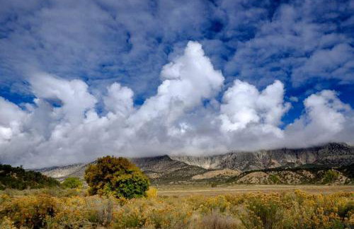 Luxury Safari Tents for Groups Only on Ranch near DeBeque, Colorado - Foto 6