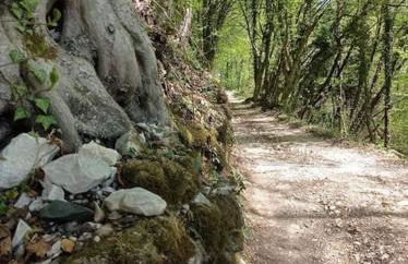 Casa nella Natura Il Risveglio degli Elfi - Foto 17