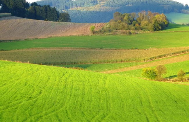 Graceful Holiday Home near Ski Area in Schmallenberg - Foto 27