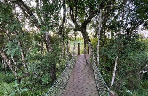 Apartamento Confortável em Campo Largo, Perto de Hospitais, BRs e Outlet City com Lava e Seca - Photo 9