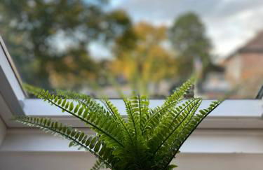 Ferienwohnungen Glückstadt - Foto 10