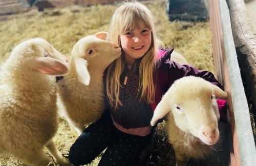 Allgäu Ferienhof Schönberger - Photo 4