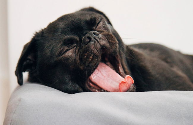 Abode Belconnen - Foto 24