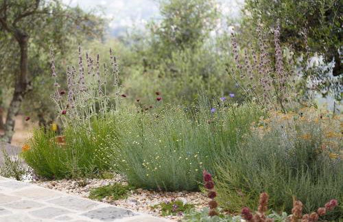 Mediterranean Retreat With Sea View In Seborga - Foto 19