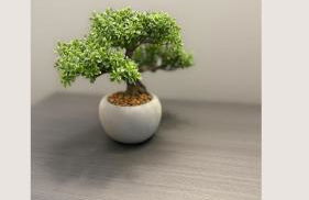 b&b housestellina - Foto 22