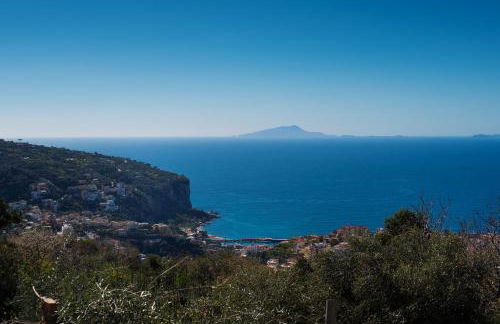 Casa Floriana - Foto 7