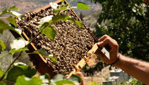 Votsalo Seaside - Foto 5