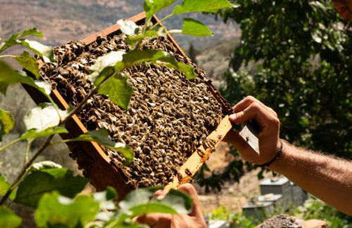 Votsalo Seaside - Foto 5