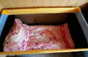 Haus Dannigkow - Foto 22