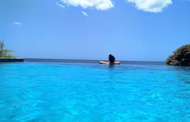 Birdie's Nest - Foto 24