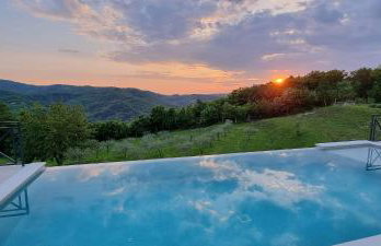 Green Forest - Photo 28