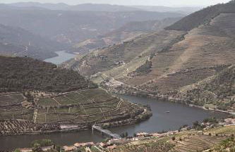 Quinta Vale das Papas - Foto 40