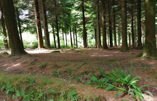 Stunning cosy barn in peaceful rural Cornwall - Photo 22