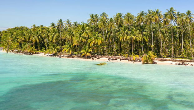 Zapatilla Island & Coral Cay Boat Tour - Foto 4