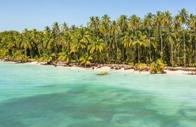 Zapatilla Island & Coral Cay Boat Tour - Foto 8