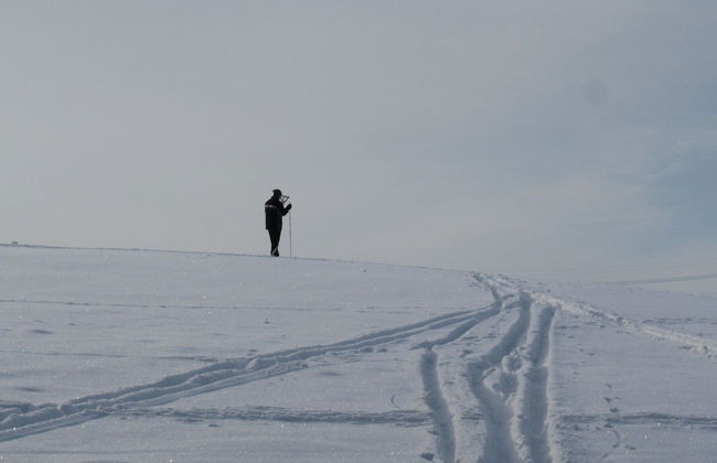 Familienferienhaus in Huttenrode - Foto 31
