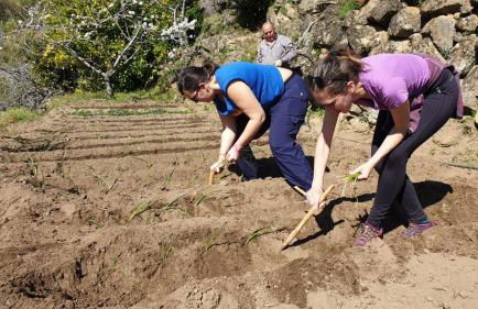 Cerrás Agroturismo - Foto 72