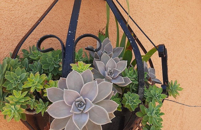 Apartment Karla - Foto 10