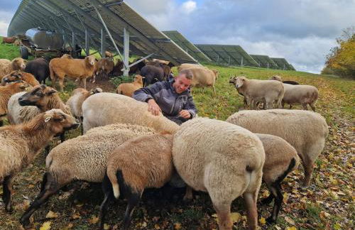 Ferienhaus Schilz II - Urlaub auf dem Bauernhof - Foto 19